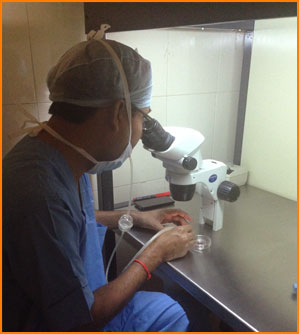 IVF Cost, Vitrification of Embryos Jalandhar Punjab